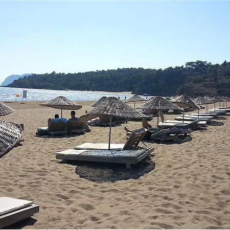 Apartment Mountain View Apt 4 Ortaca (Mugla)